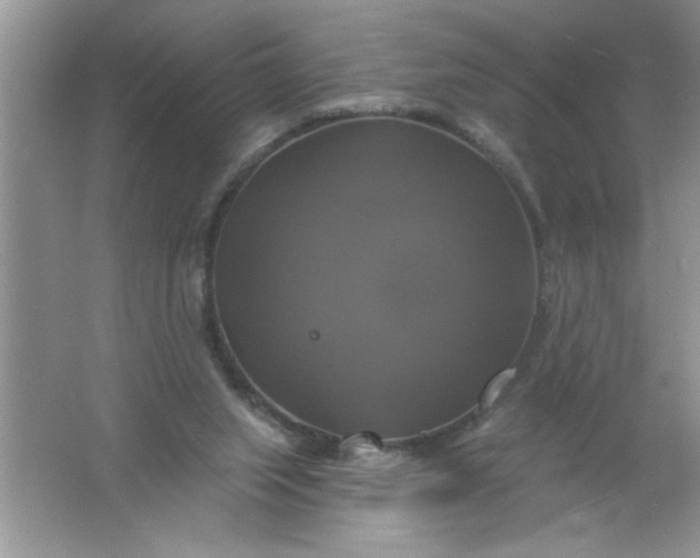 X0000061750063200512161728