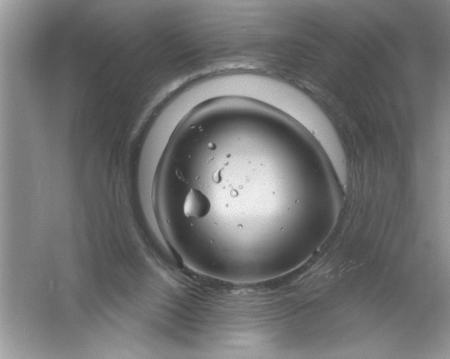 X0000061750064200512161728