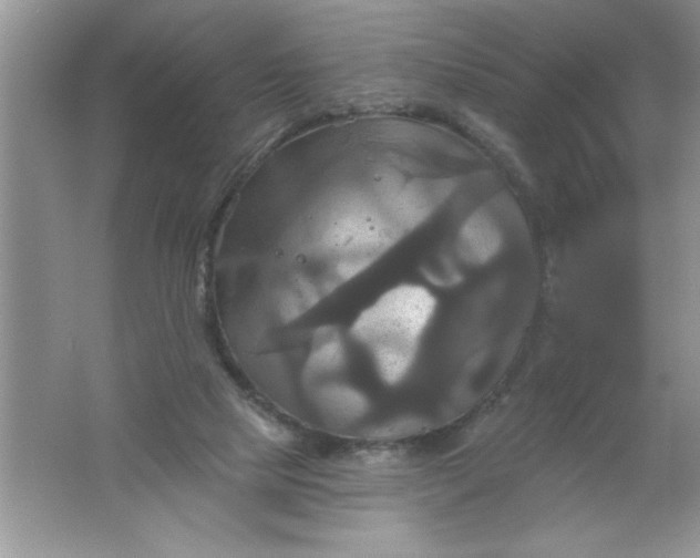 X0000061750065200512161728