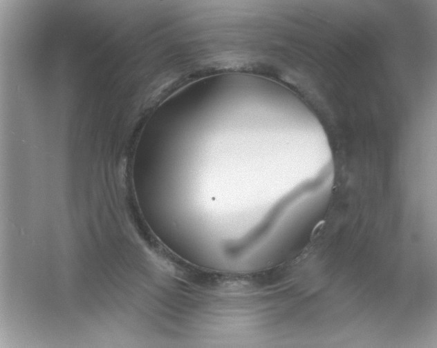 X0000061750066200512161728