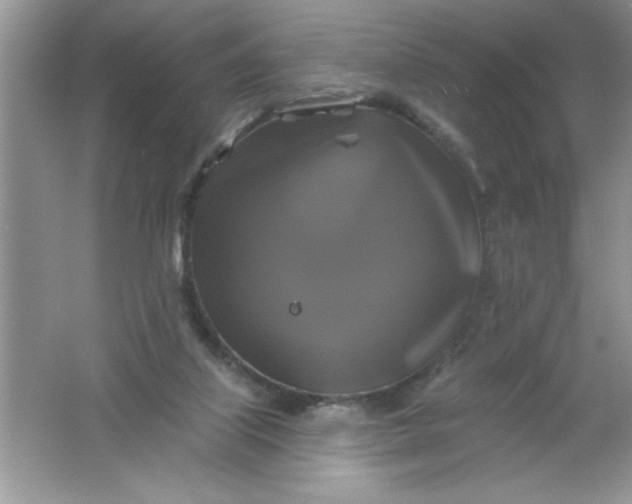 X0000061750067200512161728