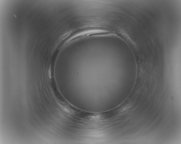 X0000061750068200512161728