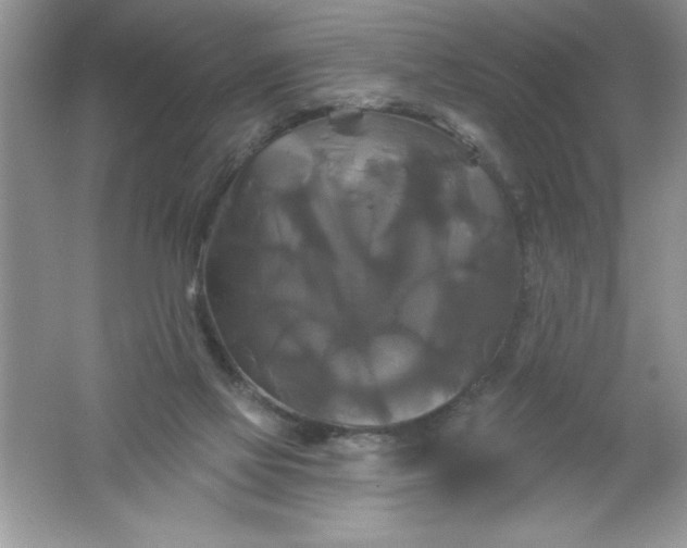 X0000061750069200512161728