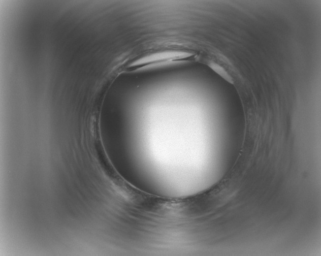 X0000061750071200512161728