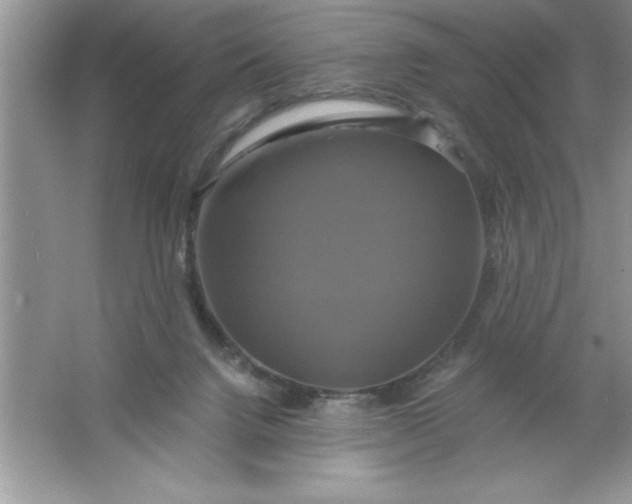 X0000061750072200512161728