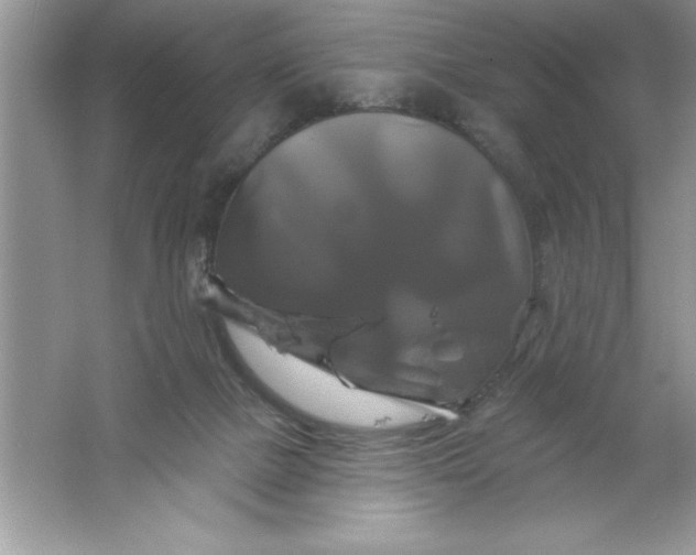 X0000061750073200512161728