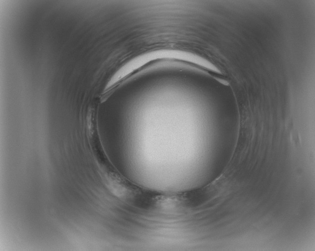 X0000061750074200512161728