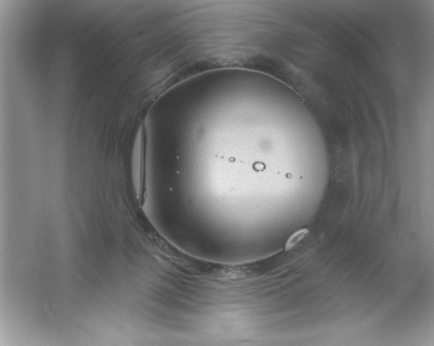 X0000061750075200512161728