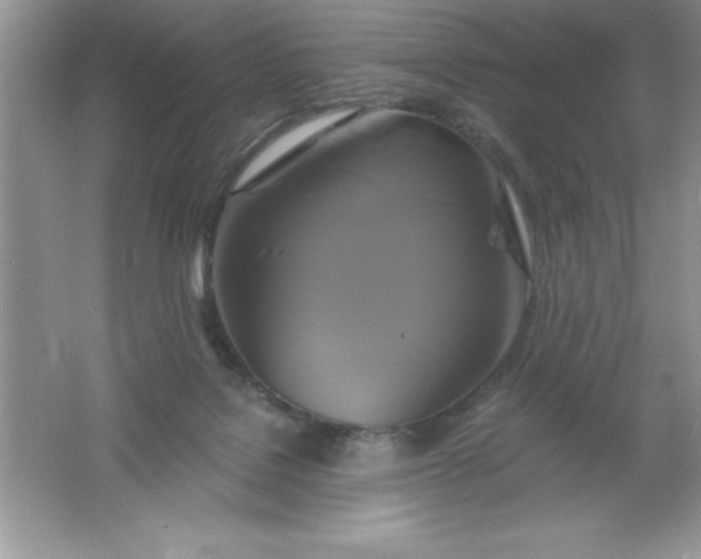 X0000061750076200512161728