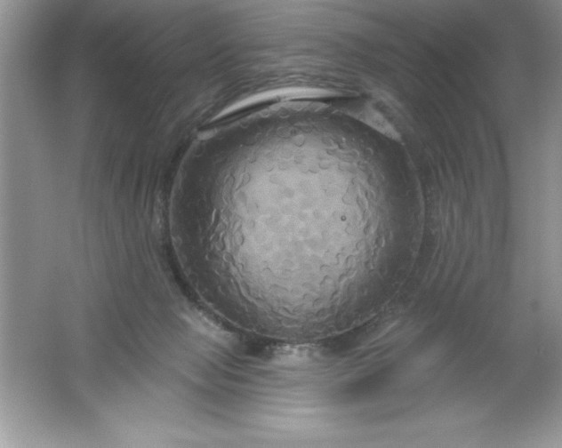 X0000061750077200512161728