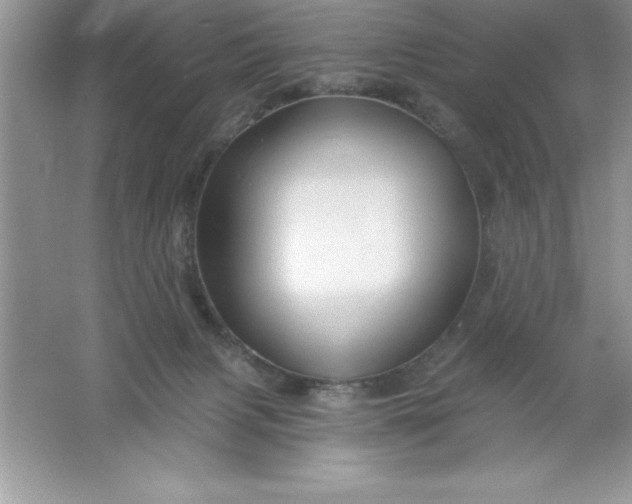 X0000061750079200512161728