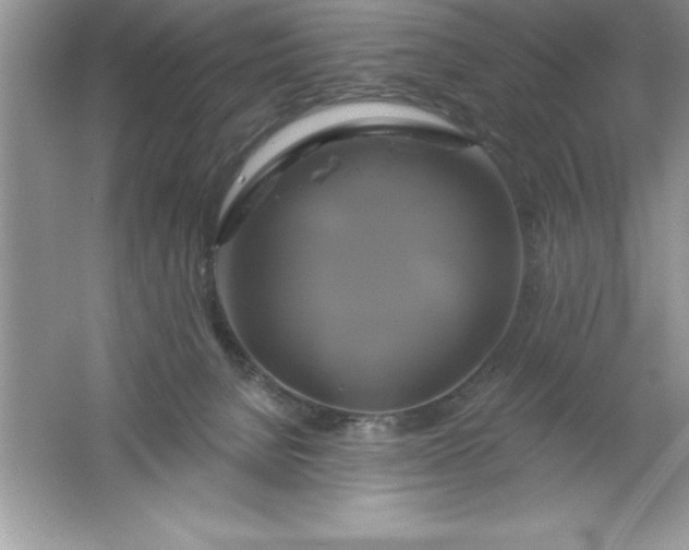 X0000061750080200512161728