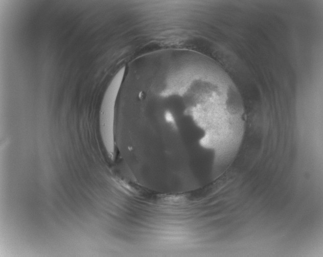 X0000061750081200512161728