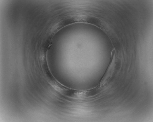 X0000061750084200512161728