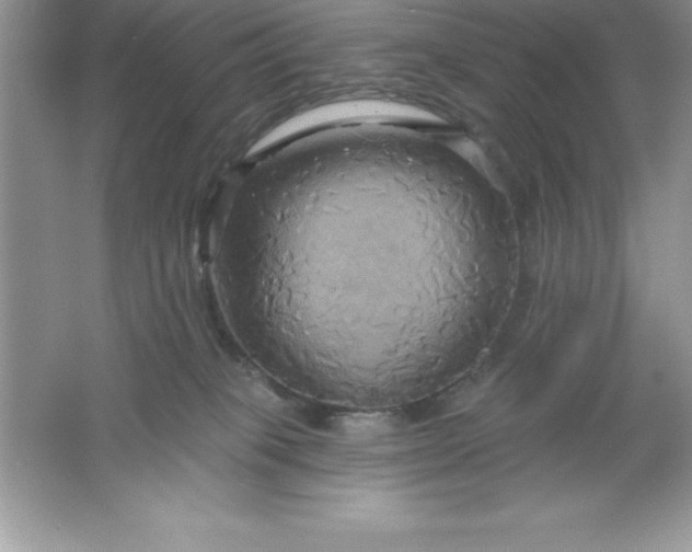 X0000061750085200512161728