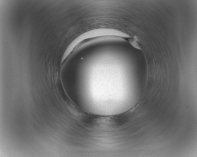 X0000061750086200512161728