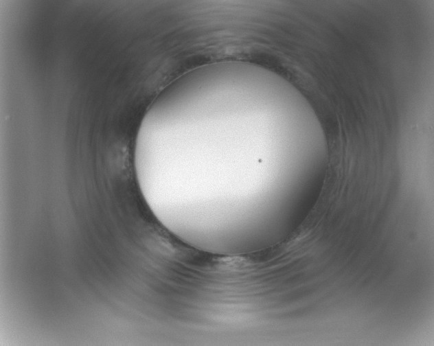 X0000061750087200512161728