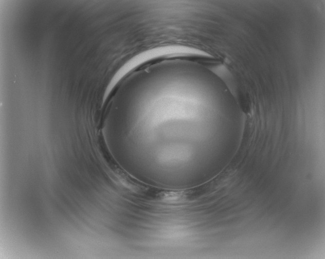 X0000061750088200512161728