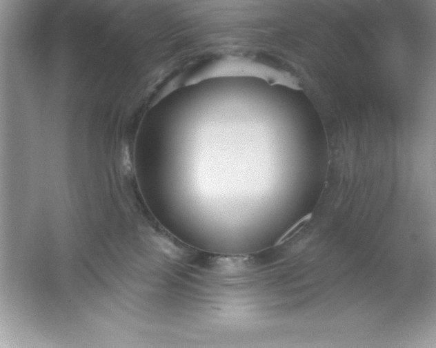 X0000061750089200512161728