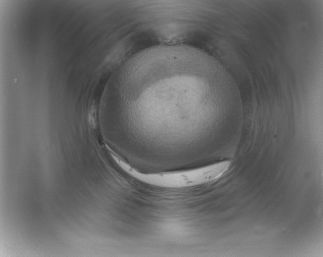 X0000061750090200512161728