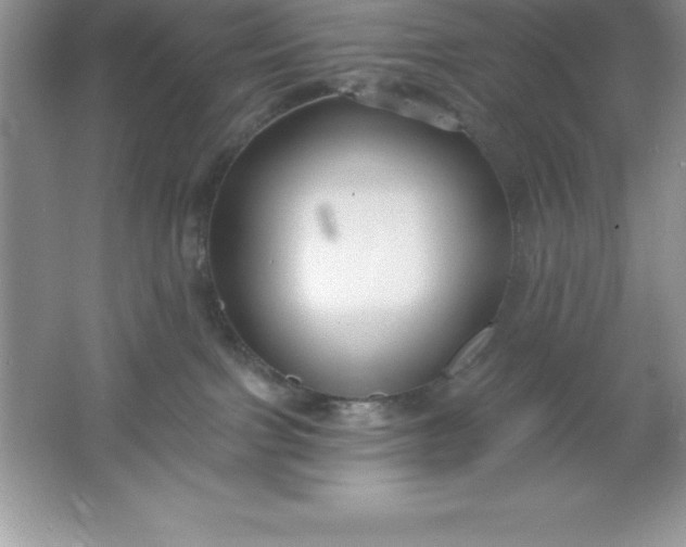 X0000061750091200512161728