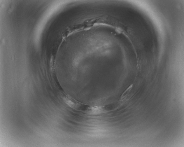 X0000061750093200512161728