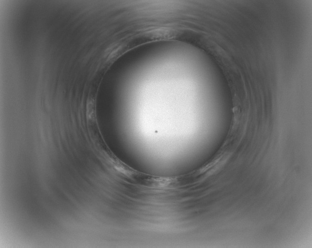 X0000061750096200512161728