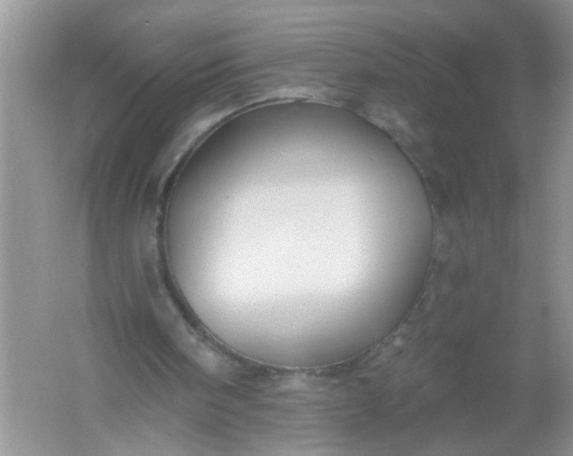 X0000061750098200512161727