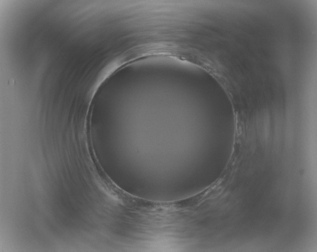 X0000061750099200512161727