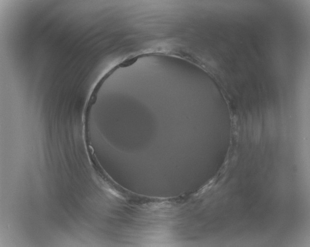 X0000061750100200512161727