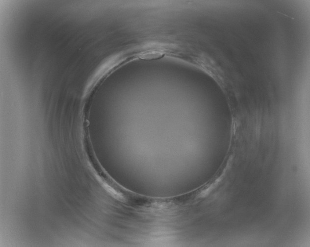 X0000061750101200512161727