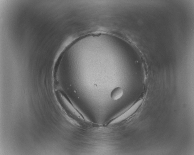 X0000061750102200512161727