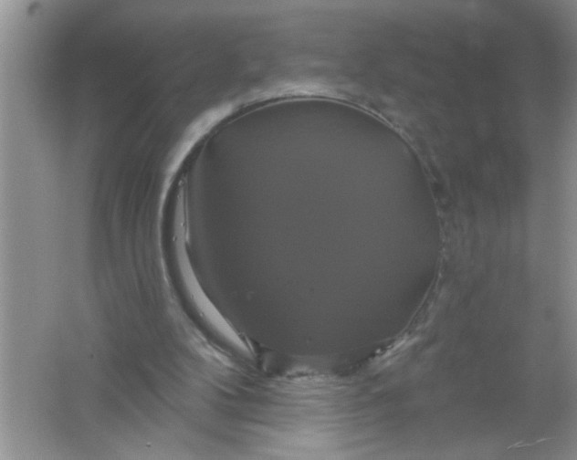 X0000061750104200512161727