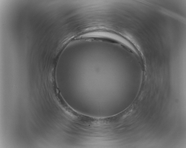 X0000061750105200512161727