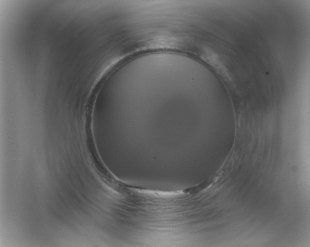 X0000061750108200512161727