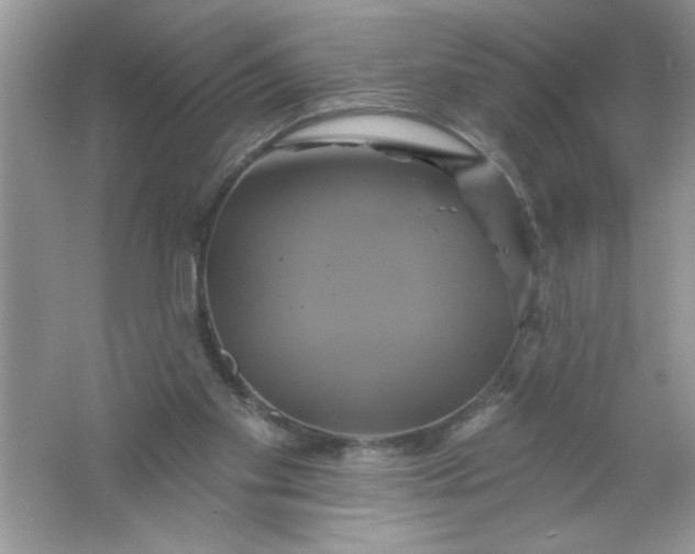 X0000061750109200512161727