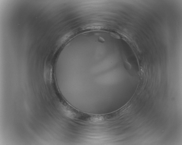 X0000061750110200512161727