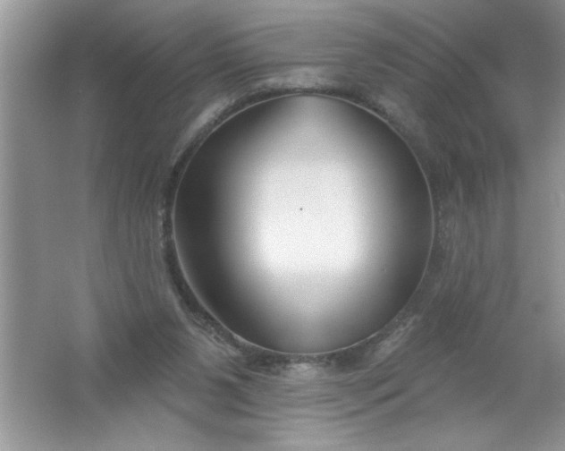 X0000061750111200512161727