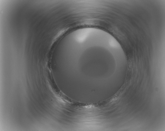 X0000061750112200512161727