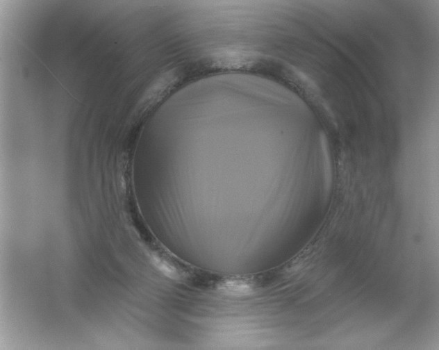 X0000061750114200512161727