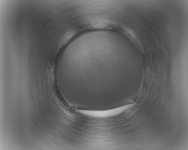 X0000061750116200512161727