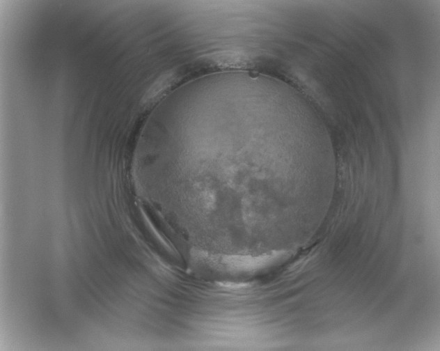 X0000061750117200512161727