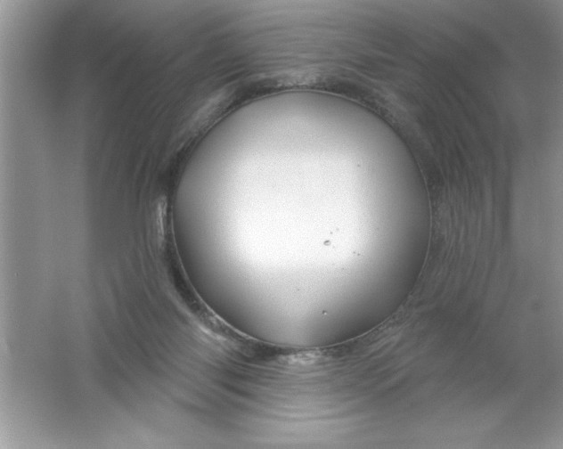 X0000061750118200512161727