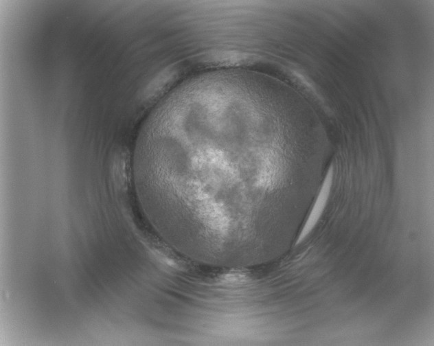 X0000061750119200512161727