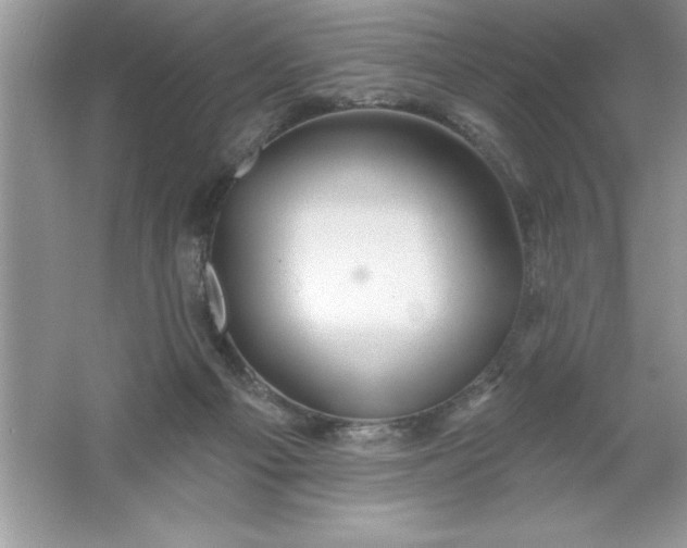 X0000061750121200512161727