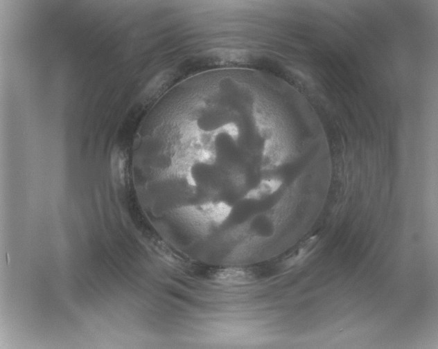 X0000061750123200512161727