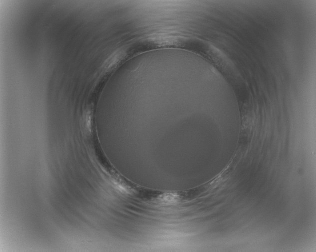 X0000061750124200512161727