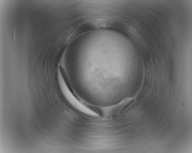 X0000061750125200512161727