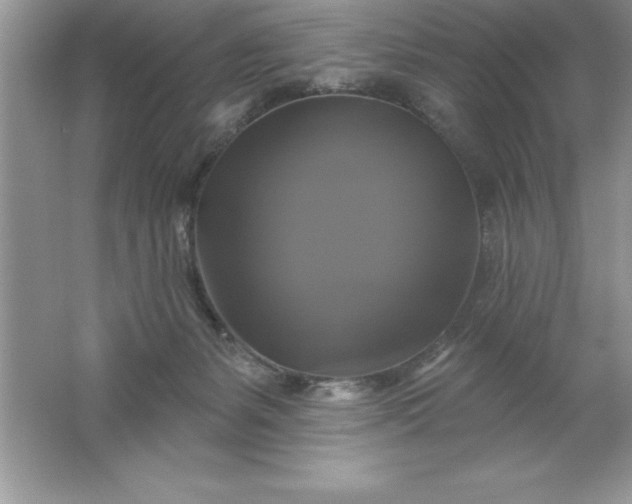 X0000061750127200512161727