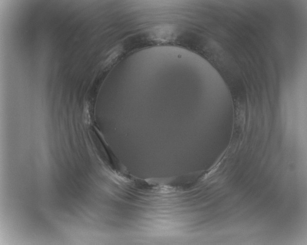 X0000061750128200512161727